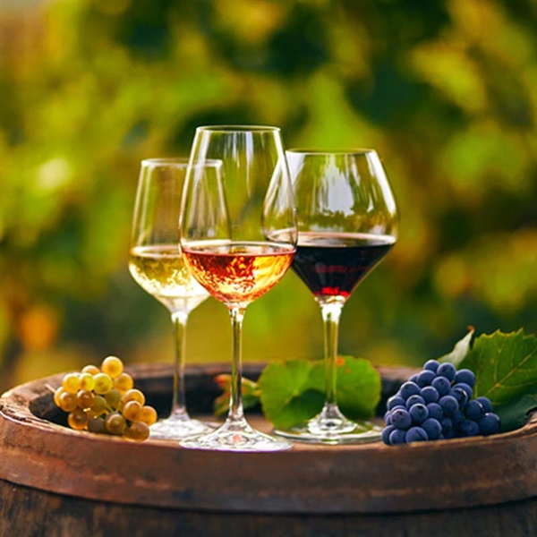 Corso di diritto vitinicolo & degustazioni